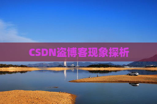 CSDN盗博客现象探析